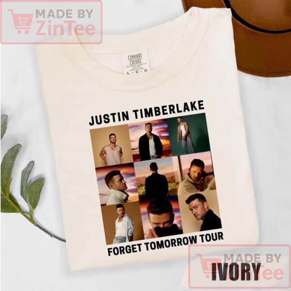 Justin Timber Lake Shirt, Timberlake T-Shirt, Timberlake Fan Gift, JT Concert Shirt